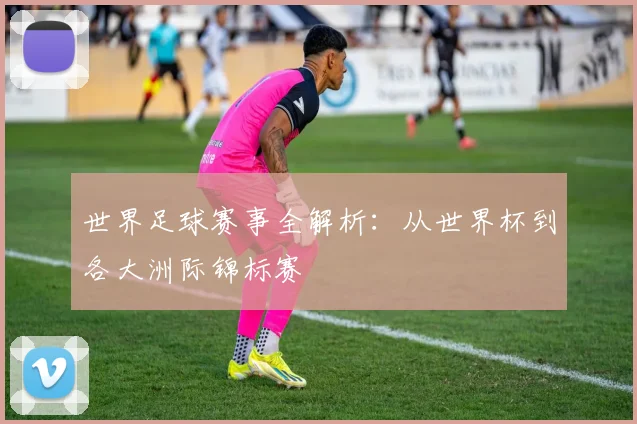 世界足球赛事全解析：从世界杯到各大洲际锦标赛