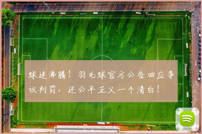 球迷沸腾！羽毛球官方公告回应争议判罚，还公平正义一个清白！